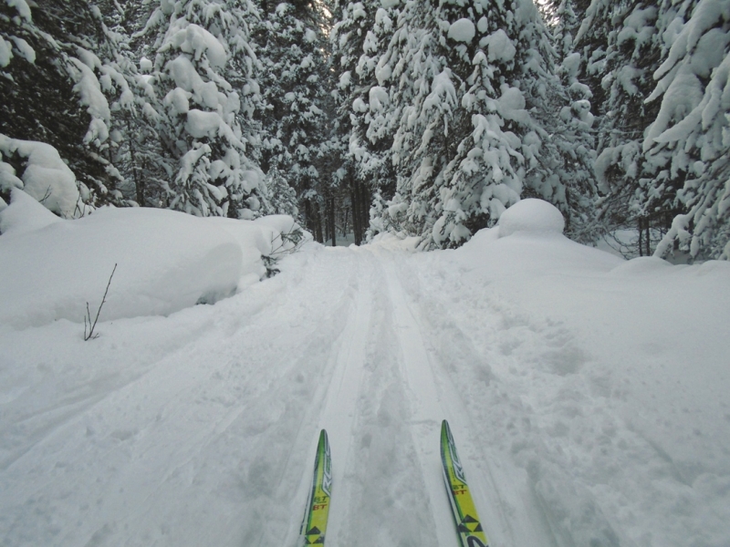 Fox Creek