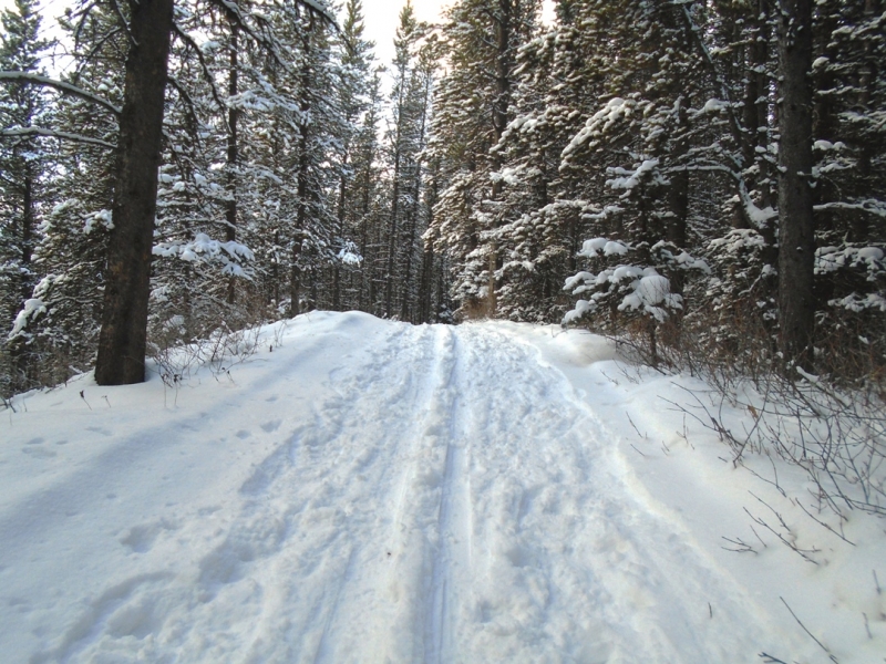 Moraine
