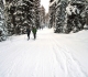 Elk Pass