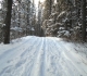 Moraine
