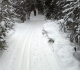 Fox Creek