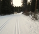 Rolly Road training grid access