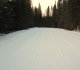 Rolly Road grid