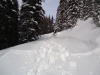 New snow on Hydroline at the first Elk Pass junction