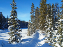 Bow River loop
