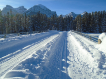 Bow River loop