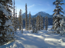 Bow River loop