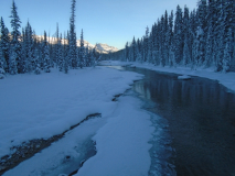 Bow River loop
