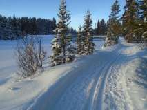 Bow River loop
