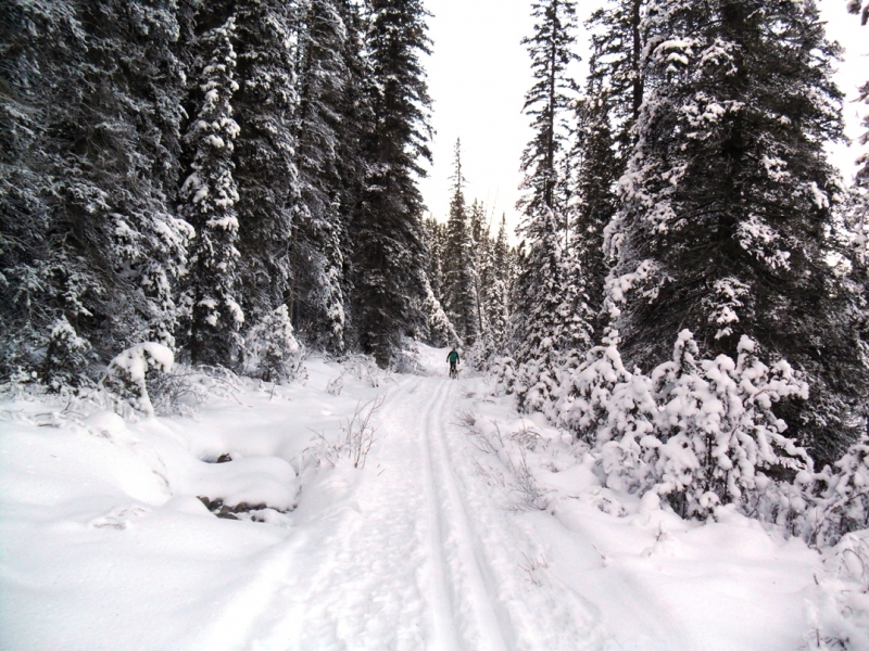 Bow River Loop