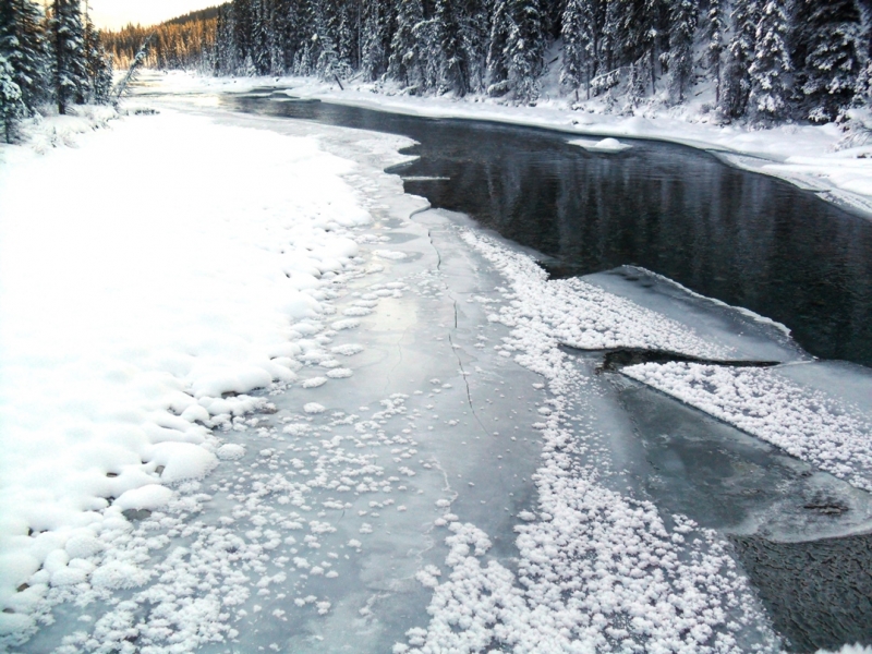 Bow River Loop