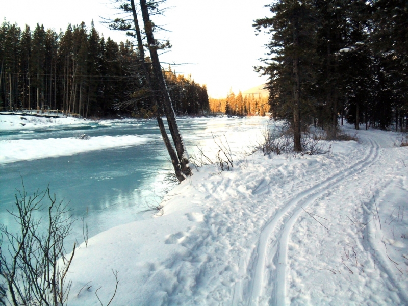 Bow River Loop