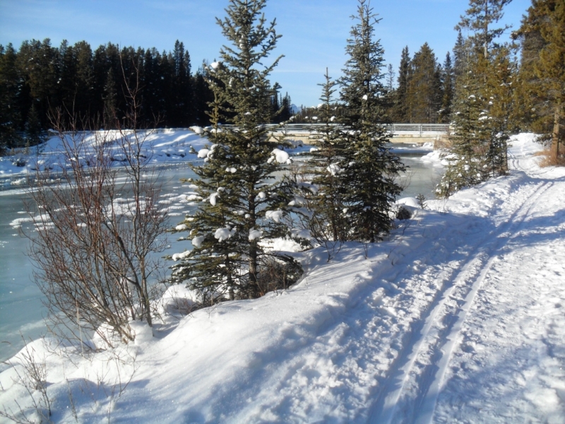 Bow River Loop