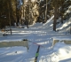 Healy creek trailhead