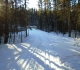 Healy creek