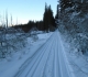Healy creek