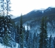 Brewster creek