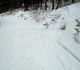 Brewster Creek