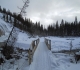Brewster Creek