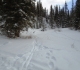 Brewster Creek