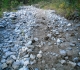 Brewster Creek