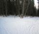 Brewster creek