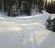 Brewster Creek