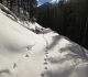 Brewster Creek