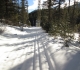 Brewster Creek