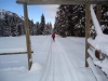 The snowmobile-packed trail to the warden\'s cabin