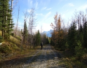 It was a beautiful day for a hike in Banff National Park