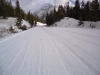 To get to the actual Cascade Fire Road trail, you will need to ski for 750 metres on the paved Lake Minnewanka road, and a further 250 metres through a grassy meadow.