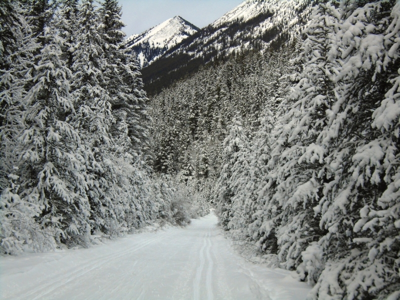 Cascade valley