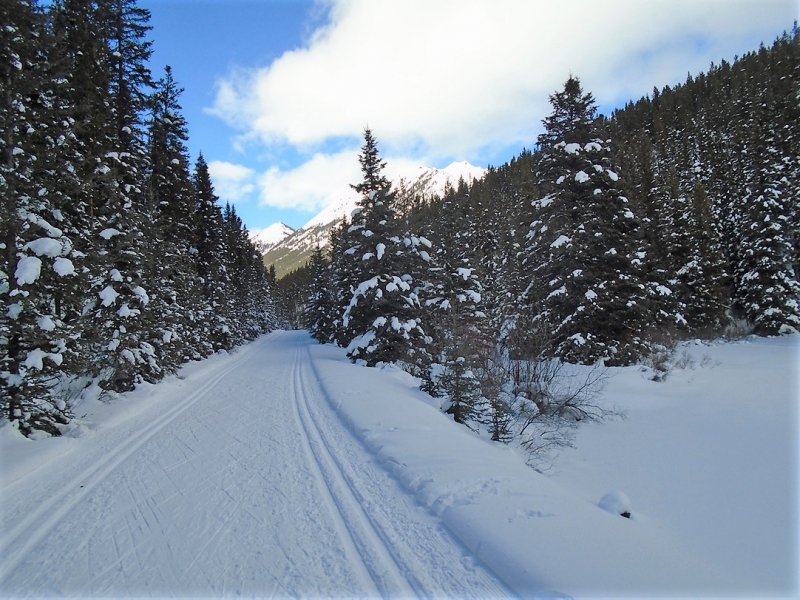 Cascade Valley