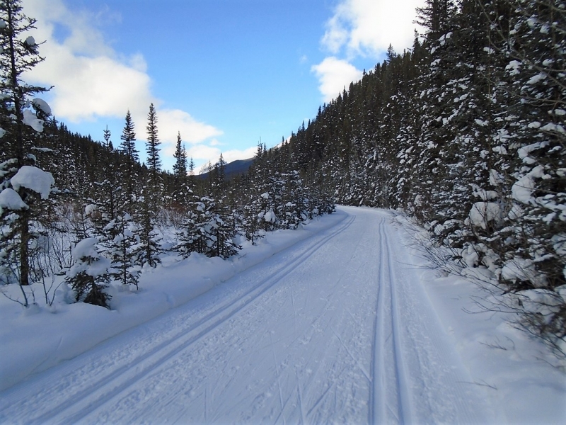 Cascade Valley