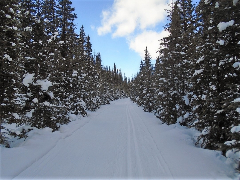 Cascade Valley