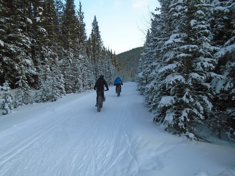 Cascade Valley
