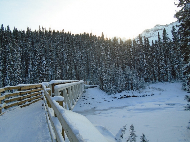 Cascade Valley