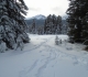 Snowshoe trails