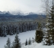 Castle Lookout to Baker creek