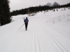 With no grip, this skier became a walker