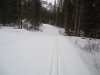 Natural snow on Banff Trail