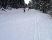 Skiers on Banff trail