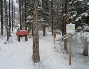 End of Banff trail
