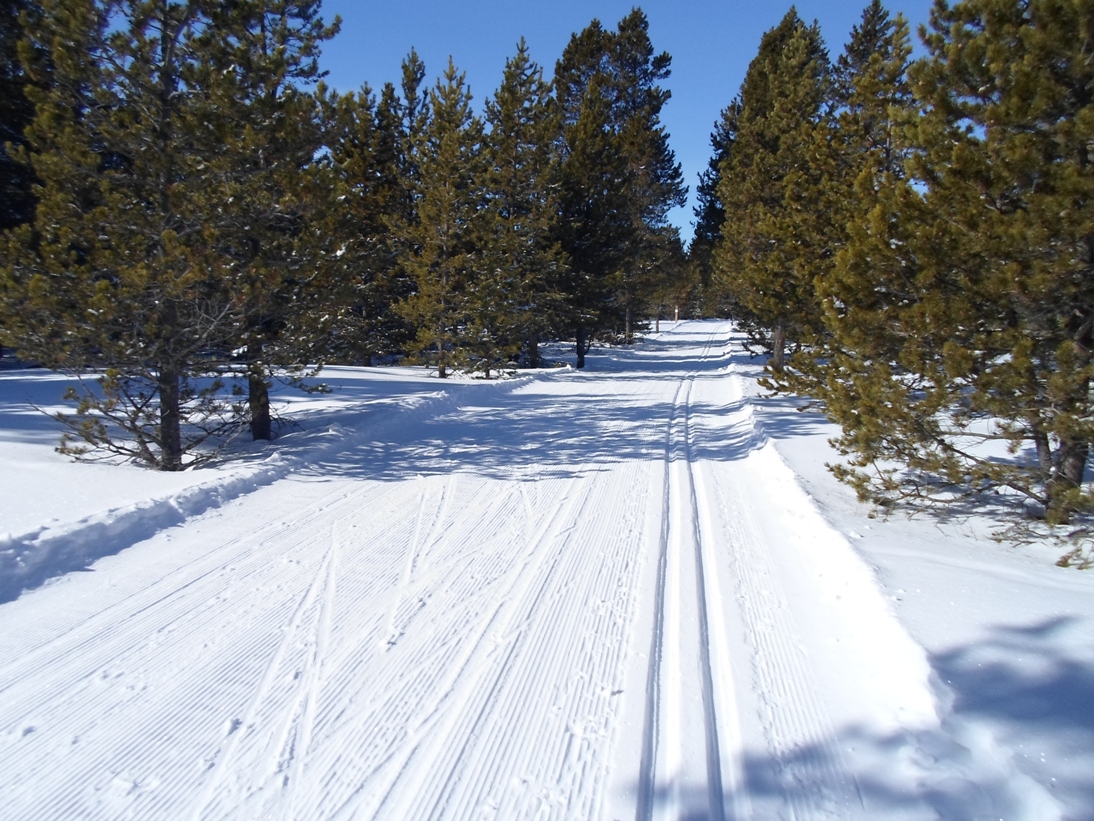 Spring Creek xc ski trails in Cypress Hills Prov Park