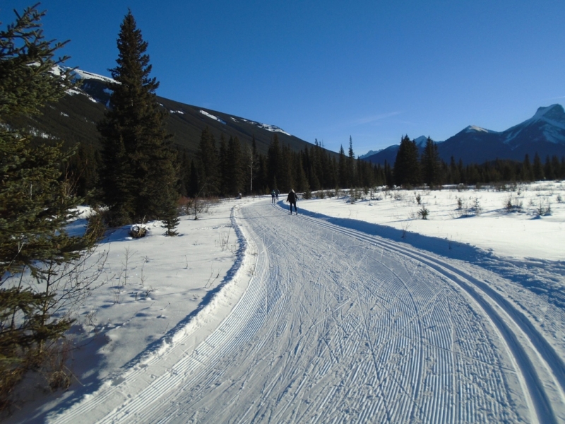 Bill Milne trail