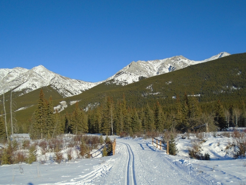 Bill Milne trail