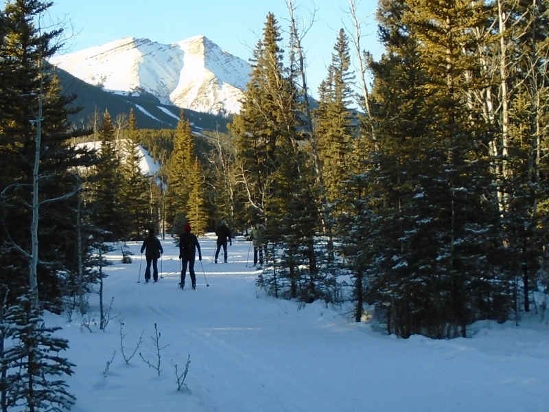 Bill Milne trail