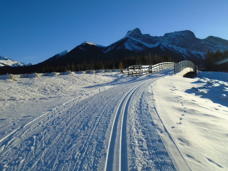 Bill Milne trail