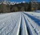 Bill Milne trail